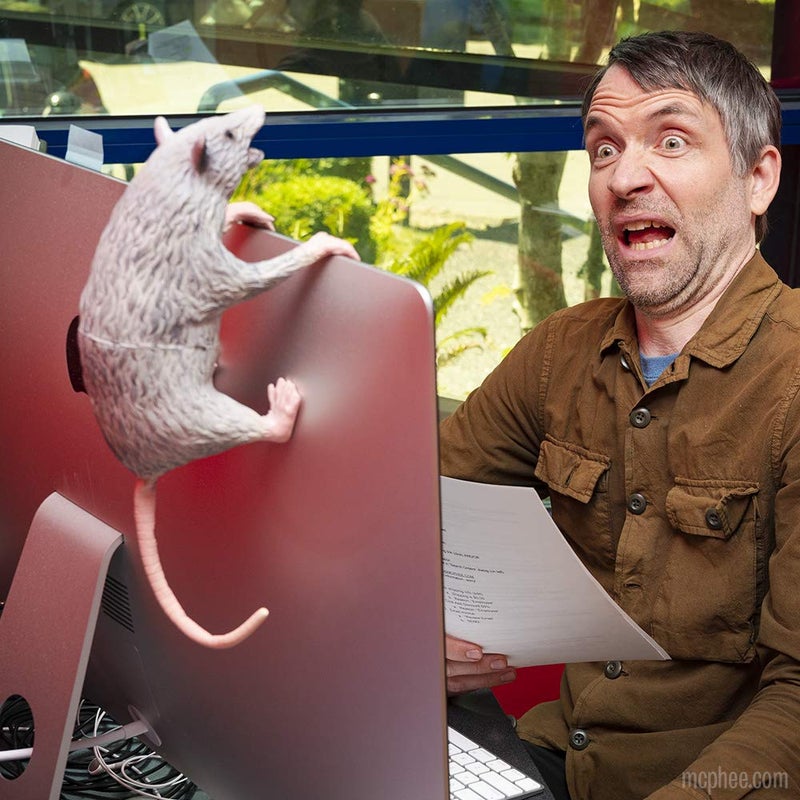 Archie McPhee Office Possum - Image 4